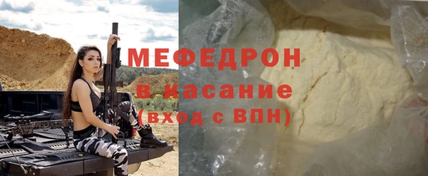 шишки Няндома