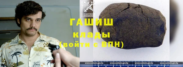 шишки Няндома