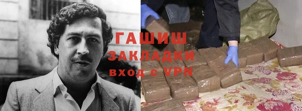 шишки Няндома