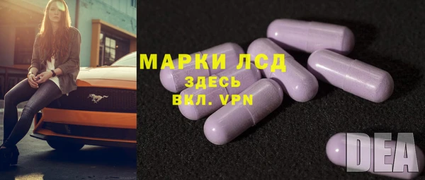 шишки Няндома