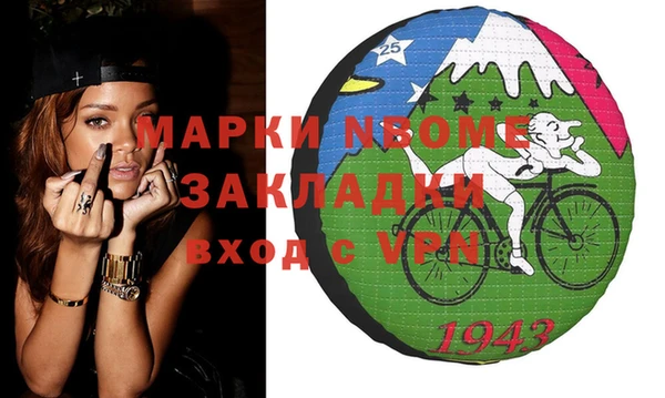 шишки Няндома