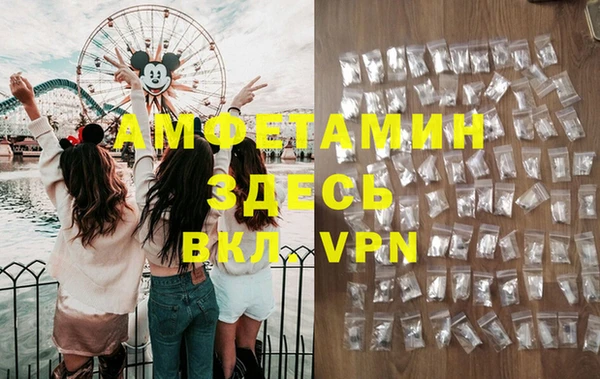 шишки Няндома