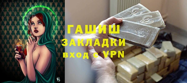 шишки Няндома