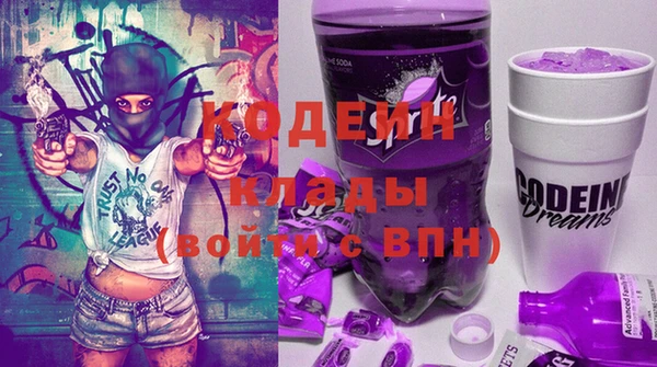 шишки Няндома