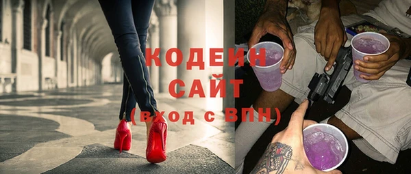 шишки Няндома