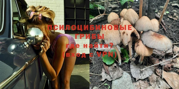 шишки Няндома