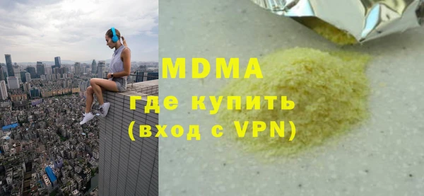шишки Няндома