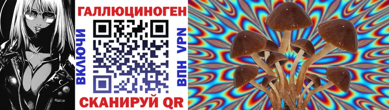 купить закладку Алексин Галлюциногенные грибы Psilocybine cubensis
