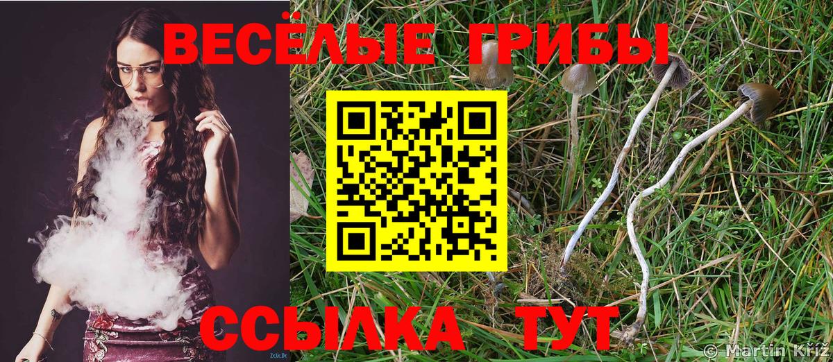 Канабис Алексин