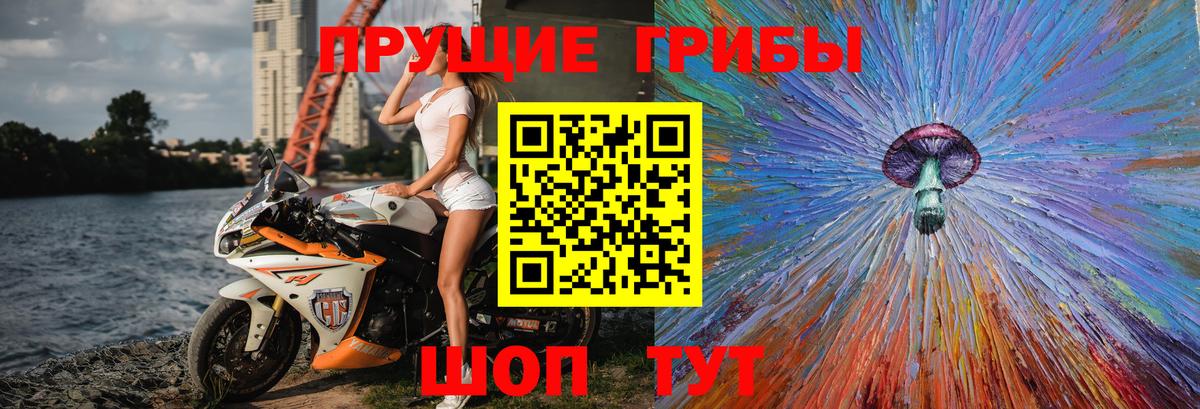 Псилоцибиновые грибы Cubensis Алексин