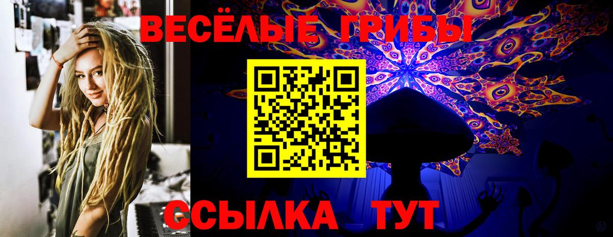Псилоцибиновые грибы Cubensis  Псилоцибиновые грибы GOLDEN TEACHER  Алексин  купить наркоту  Вход с VPN 