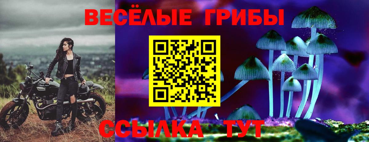 Псилоцибиновые грибы мухоморы Алексин