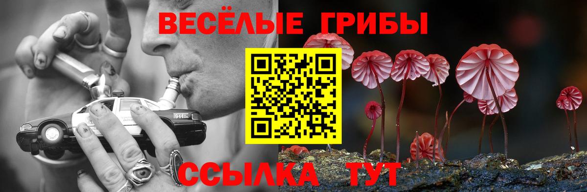 Галлюциногенные грибы GOLDEN TEACHER  Алексин 
