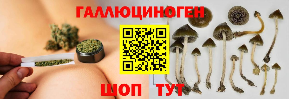 Галлюциногенные грибы Алексин